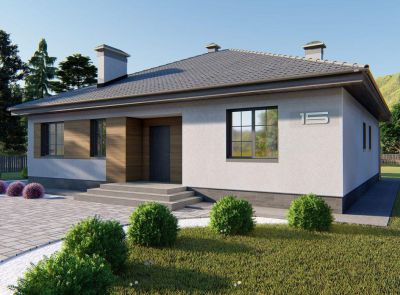 Тестовый лот 1