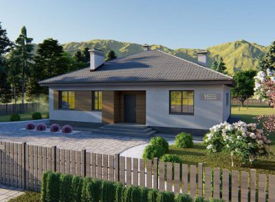 Тестовый лот 1(копия)